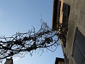Bastille 002